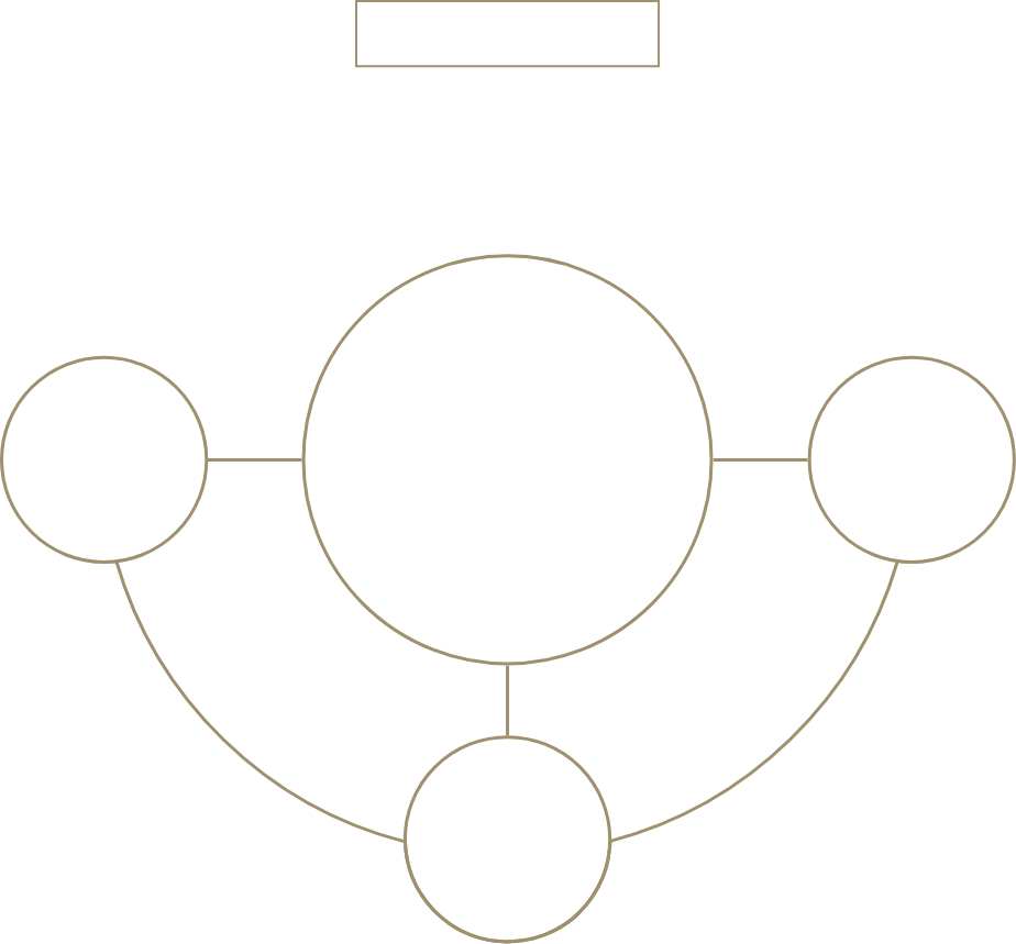 social-return-on-investment