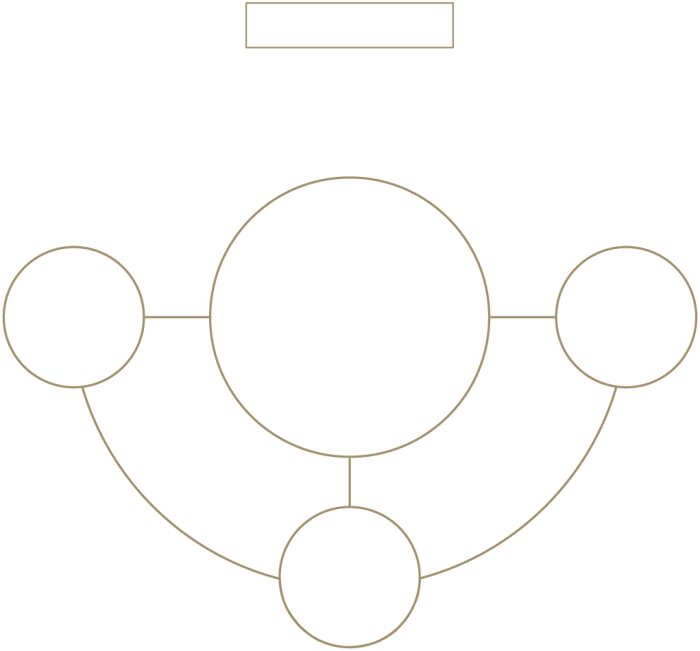 social-return-on-investment