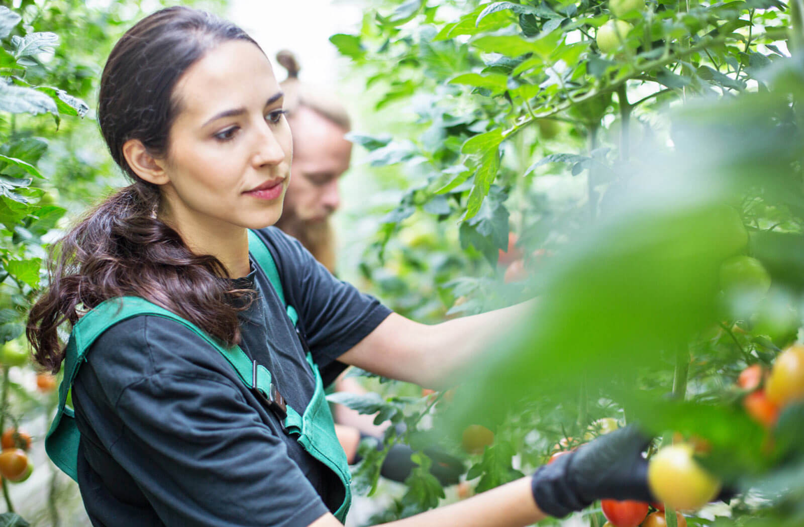 aquaponics-in-germany