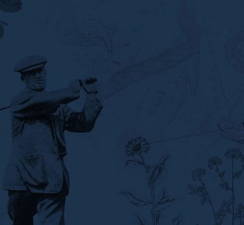 health-school-black-forest